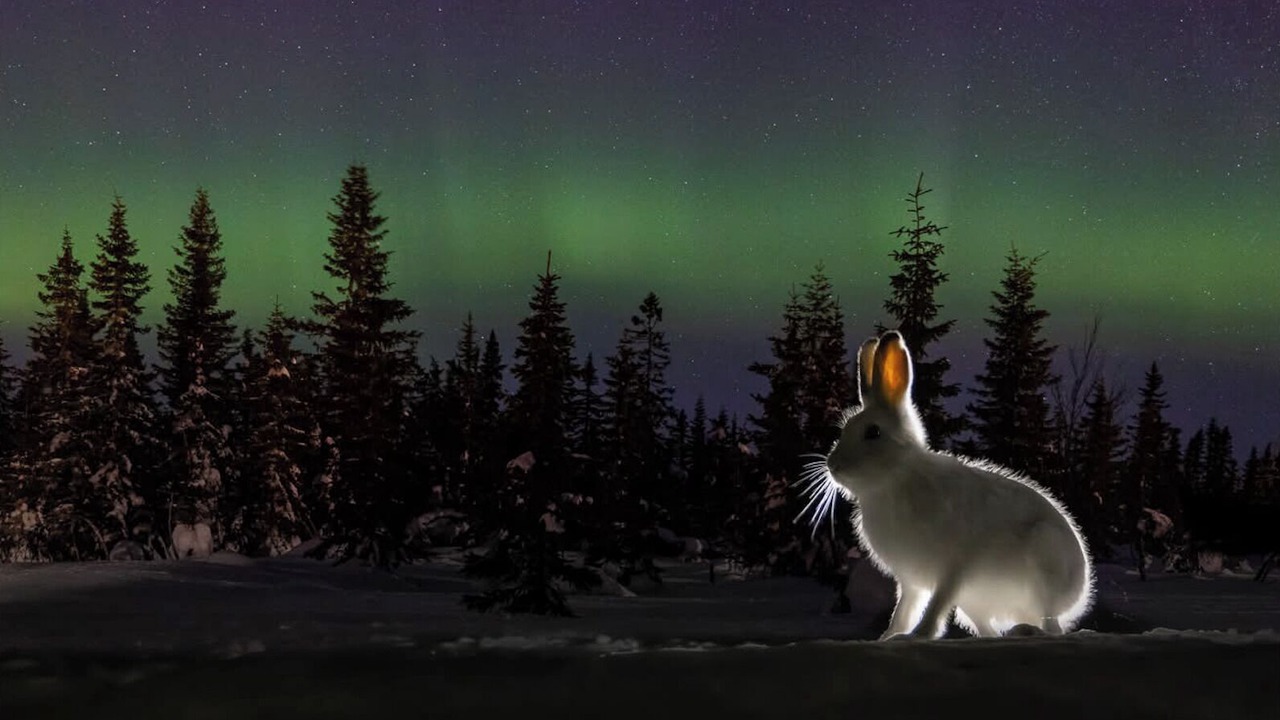Photo of Others in Trysil