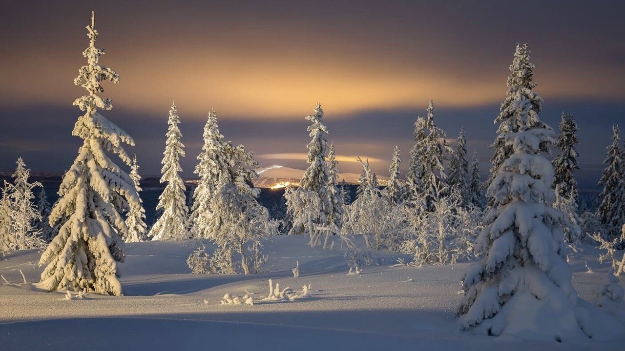 Photo of Others in Trysil