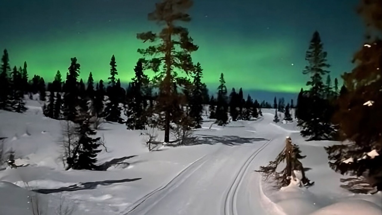 Photo of Others in Trysil