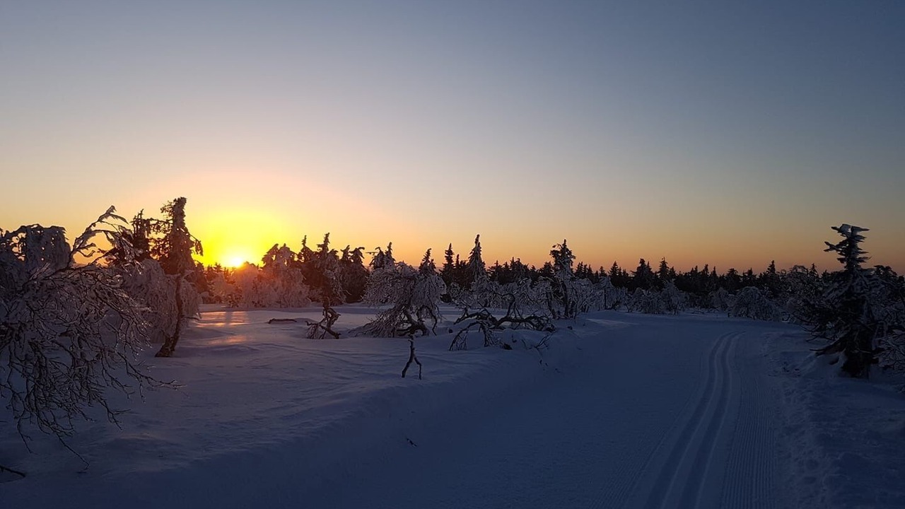 Photo of Others in Trysil