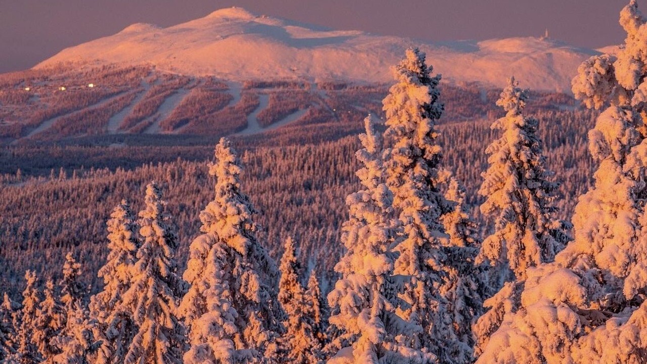 Photo of Others in Trysil