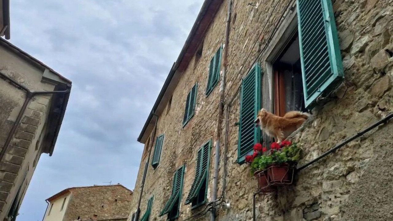 Photo of Outdoor in Chianni