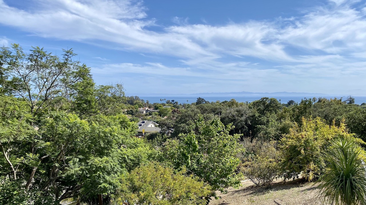 Photo of Others in Alta Mesa