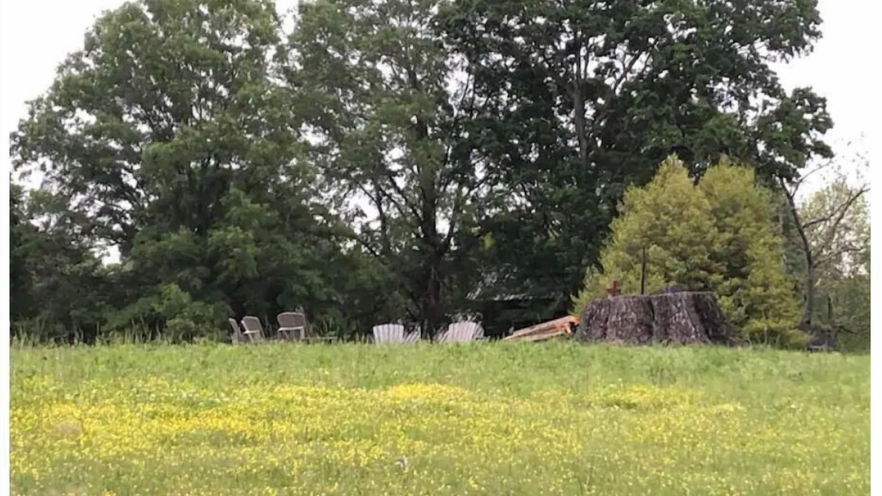 Photo of Outdoor in Forsyth County