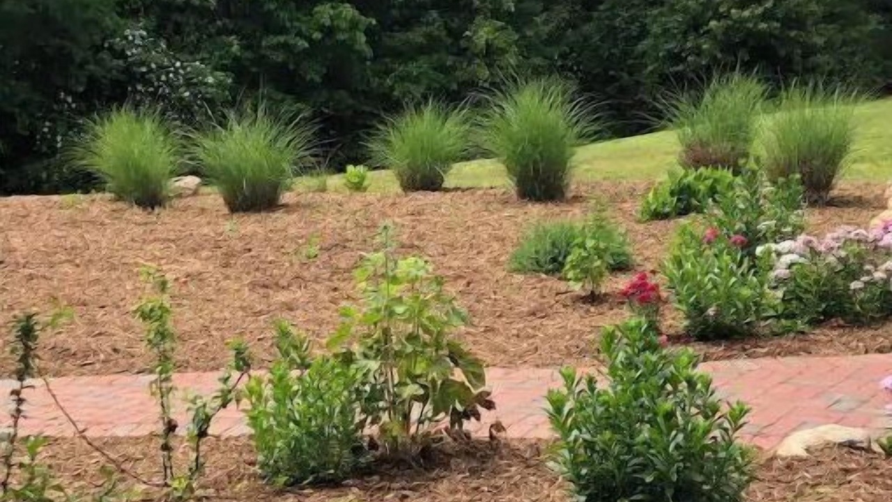 Photo of Outdoor in Forsyth County