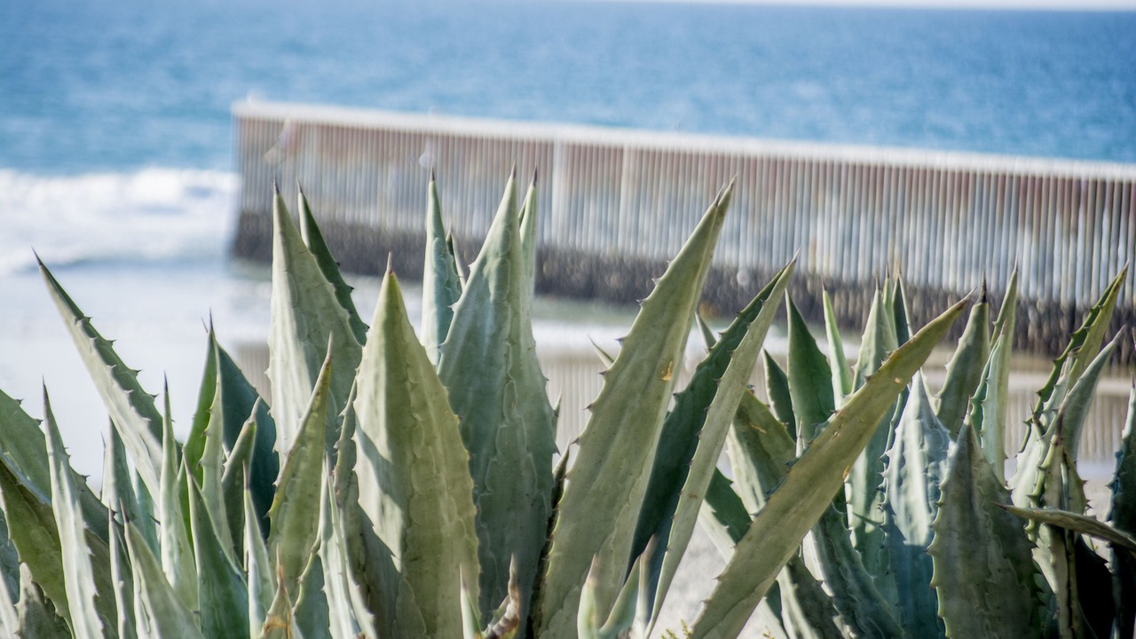 Photo of Others in Playas de Tijuana
