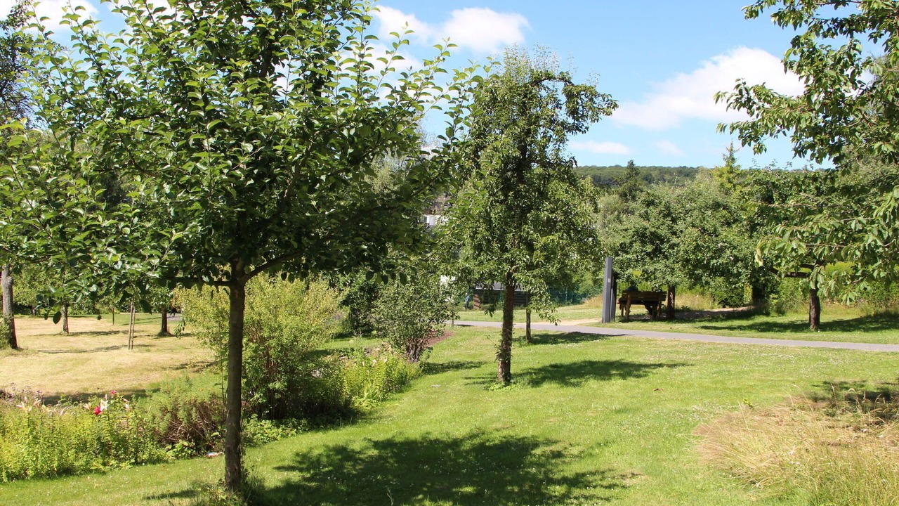 Photo of Others in Bad Marienberg