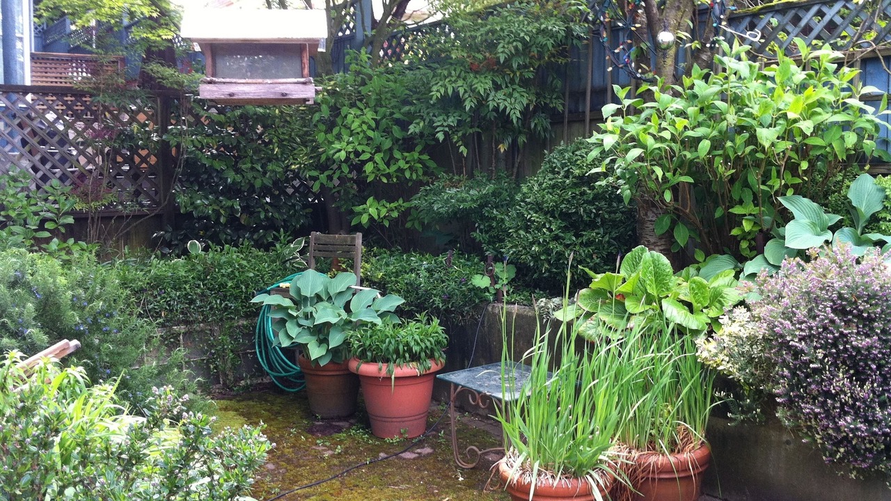 Photo of Outdoor in Kitsilano