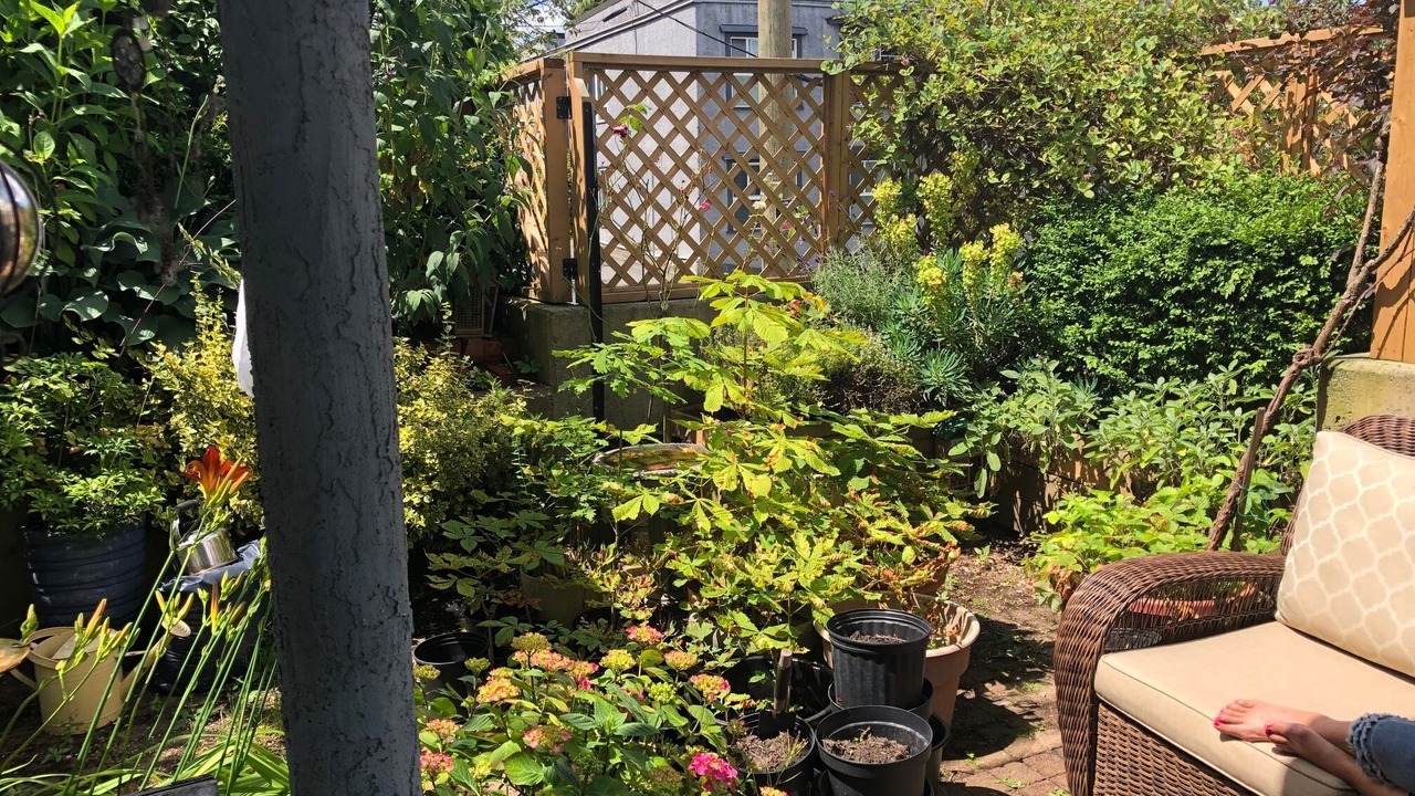 Photo of Outdoor in Kitsilano