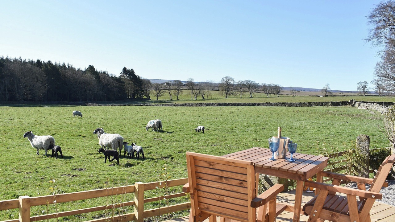 Photo of Others in Consett