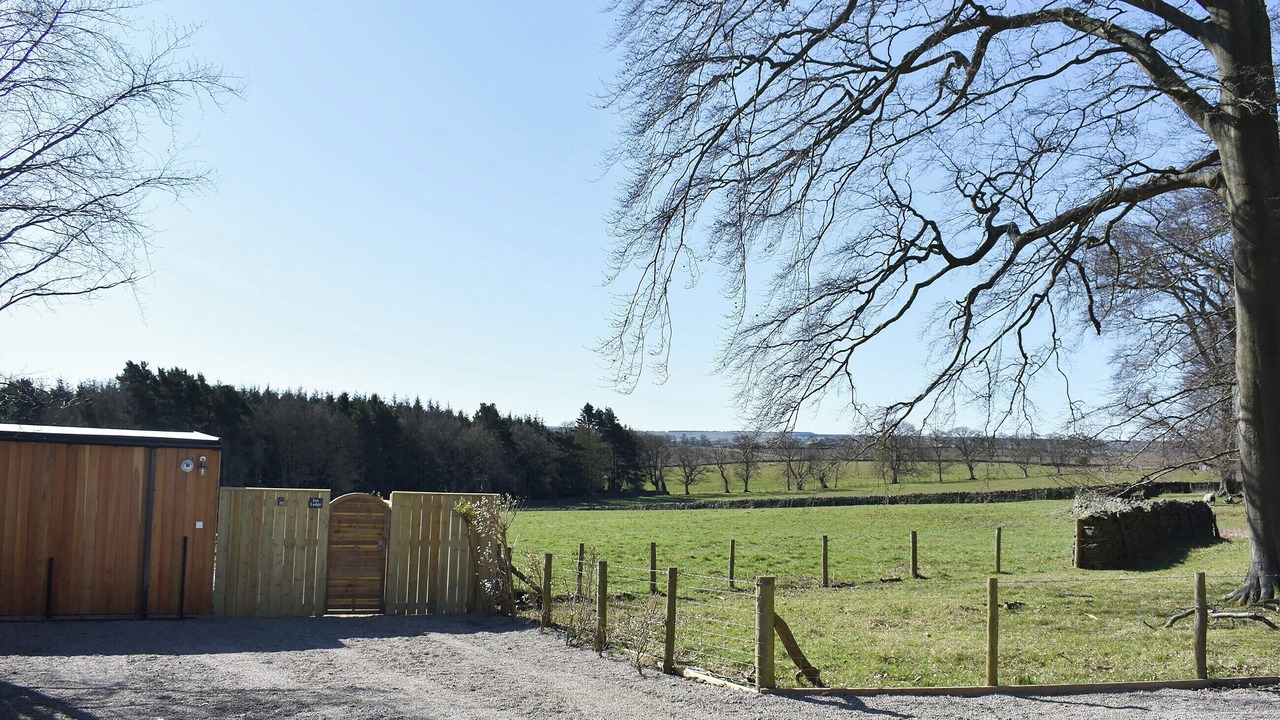Photo of Others in Consett