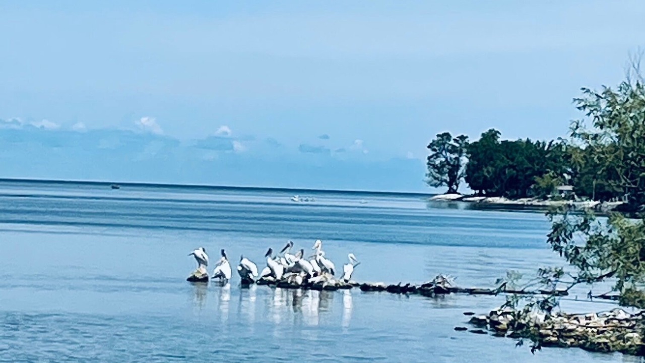 Photo of Outdoor in Little Sturgeon
