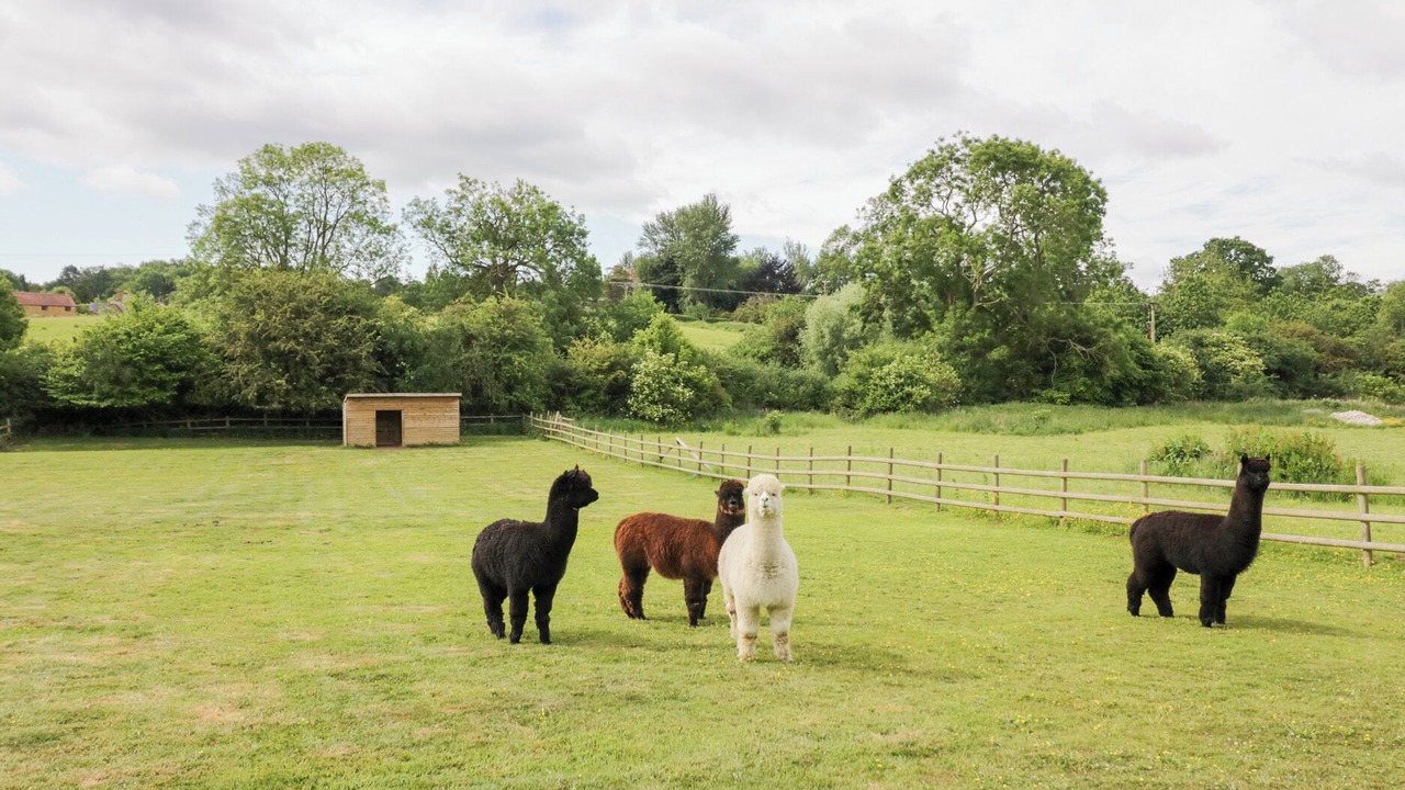 Photo of Outdoor in Thorpe