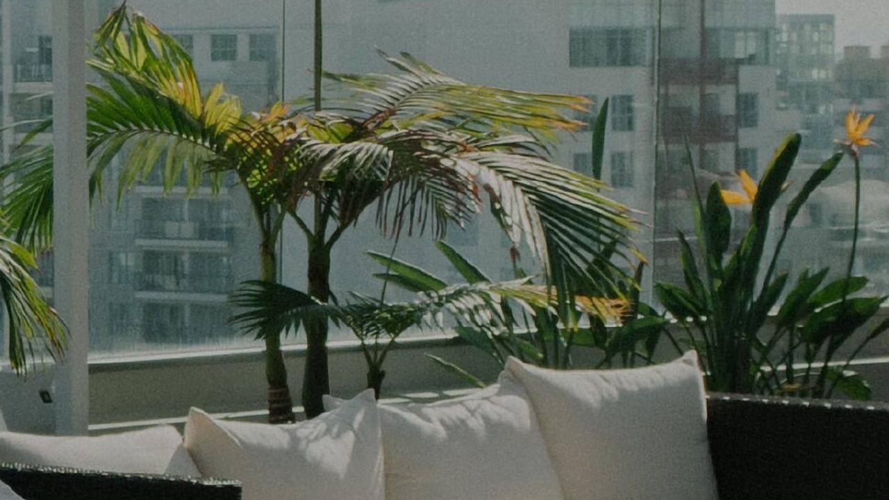 Photo of Outdoor in Bethesda