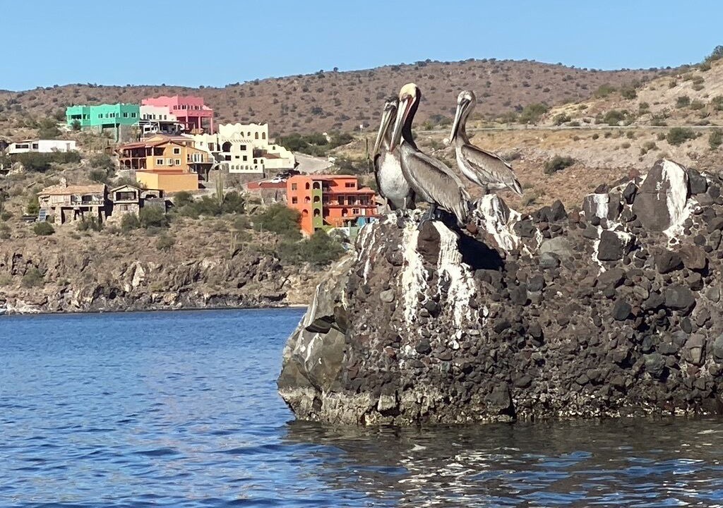 Photo of Others in Rosarito