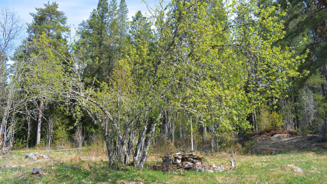 Photo of Others in Aurskog-Holand