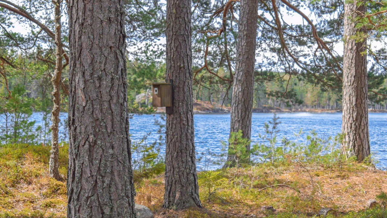 Photo of Others in Aurskog-Holand
