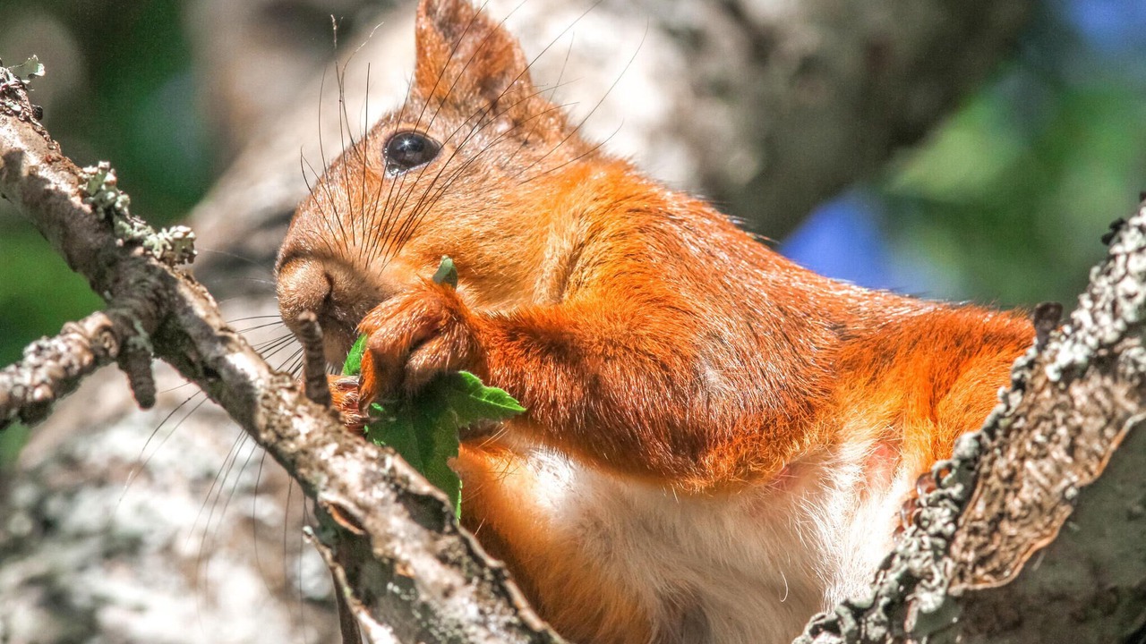 Photo of Others in Aurskog-Holand