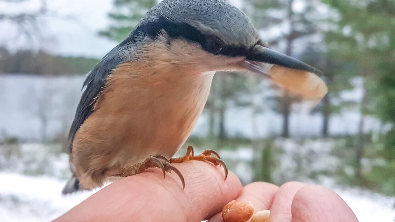 Photo of Others in Aurskog-Holand