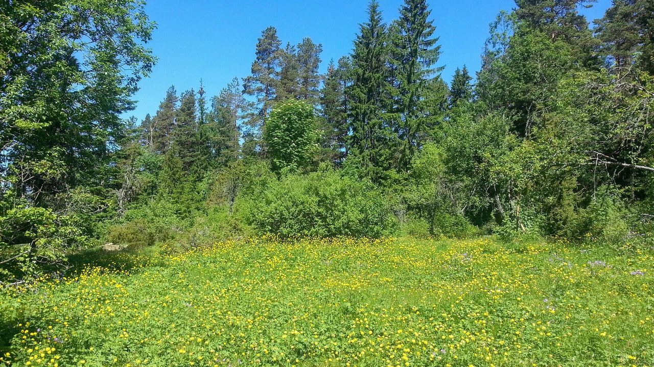 Photo of Others in Aurskog-Holand