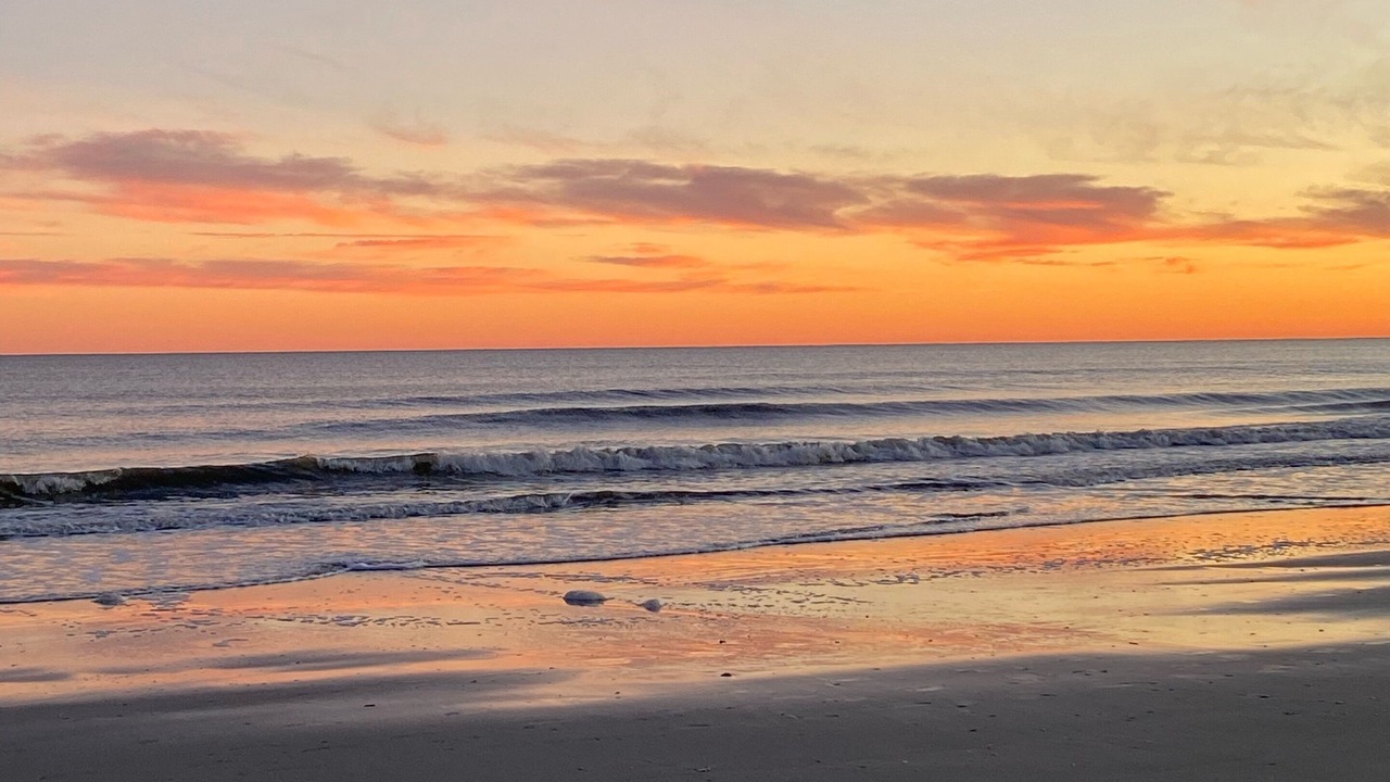 Photo of Others in Cherry Grove Beach
