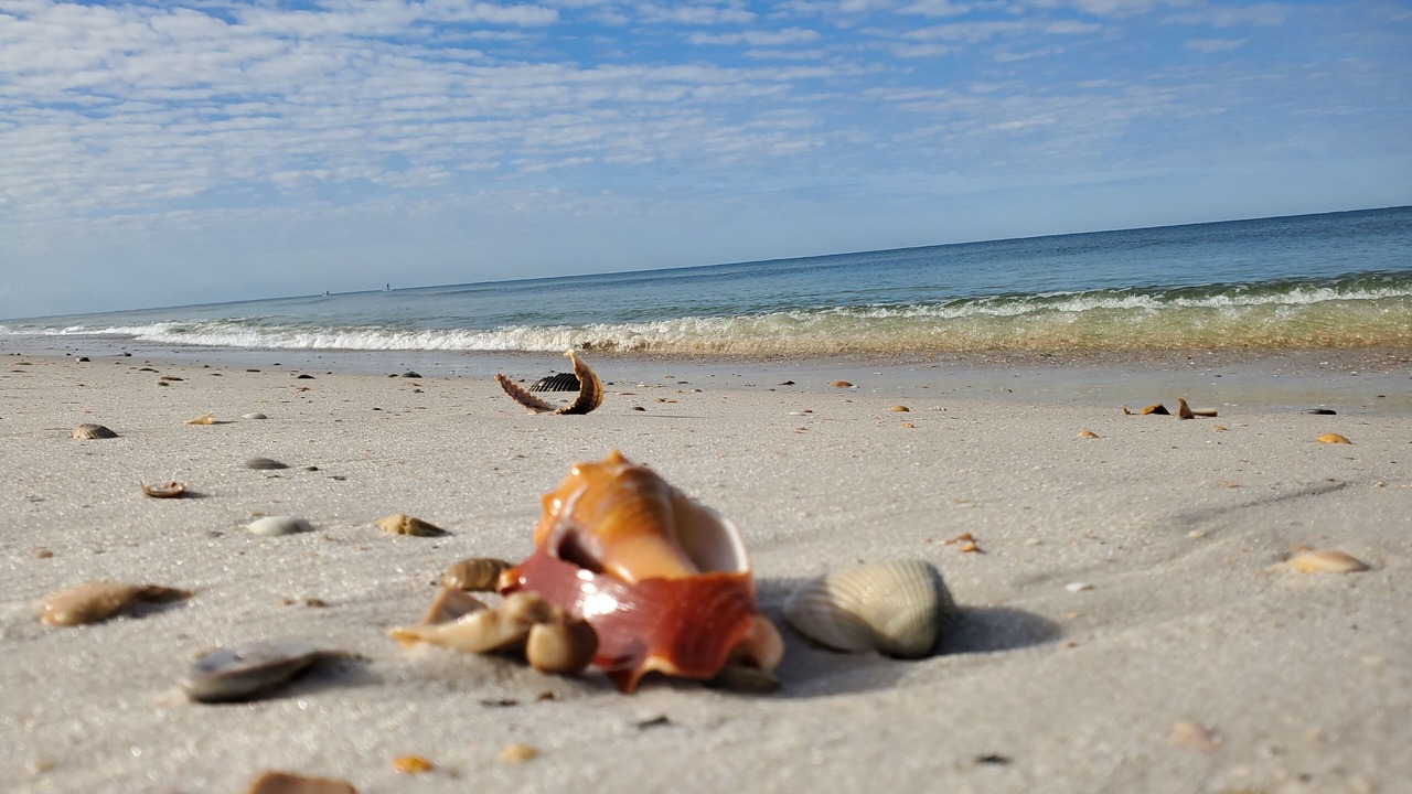 Photo of Others in Cape San Blas