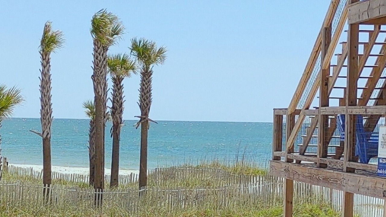 Photo of Outdoor in Cape San Blas