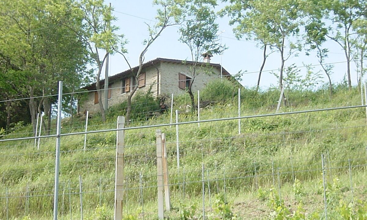 Photo of Outdoor in Modigliana