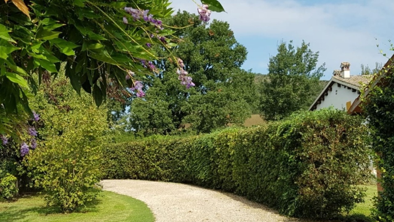 Photo of Outdoor in Brisighella