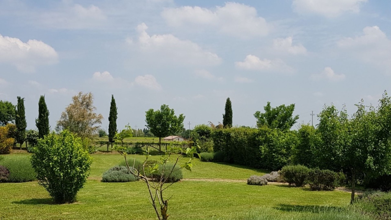 Photo of Others in Brisighella