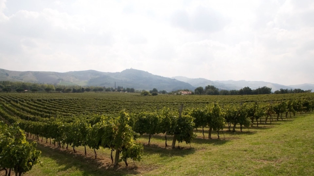 Photo of Outdoor in Brisighella