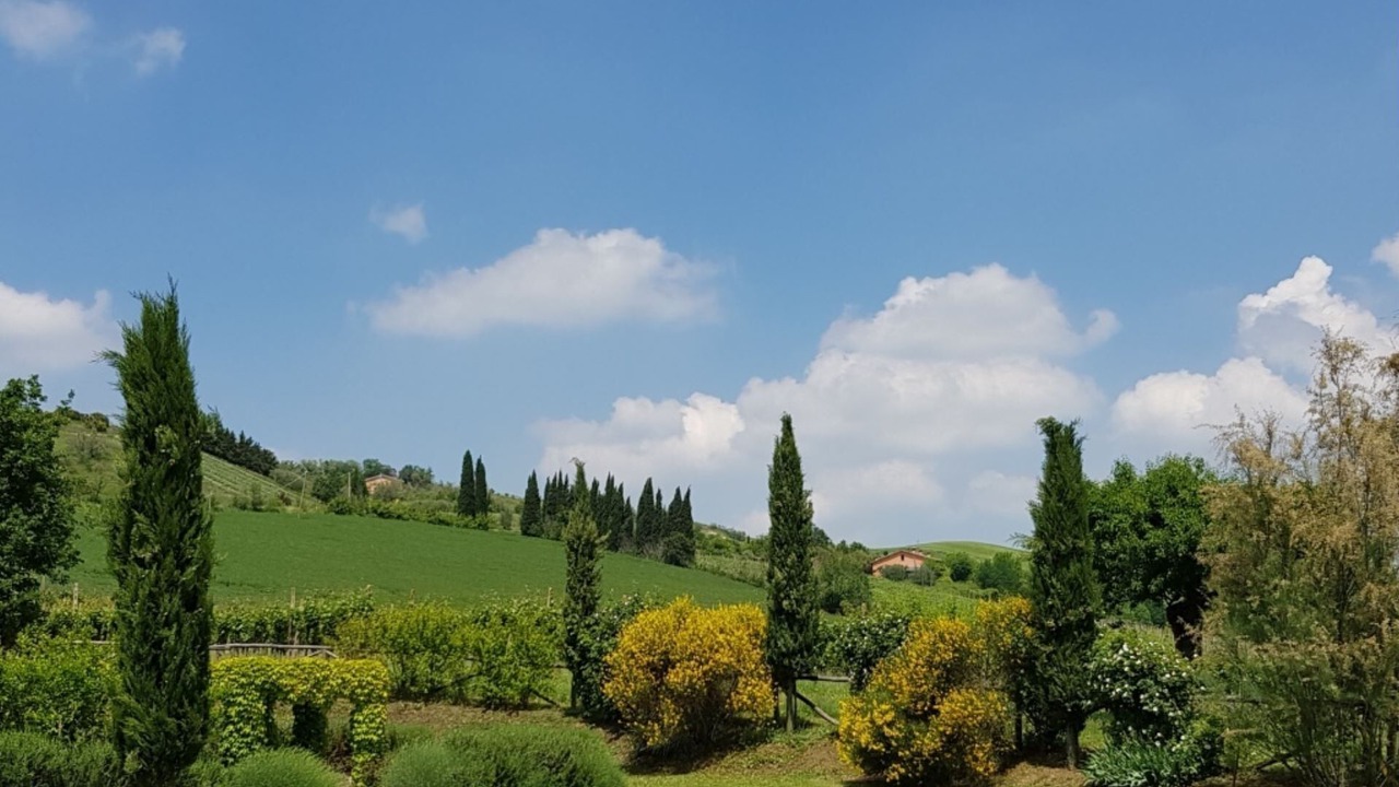 Photo of Others in Brisighella