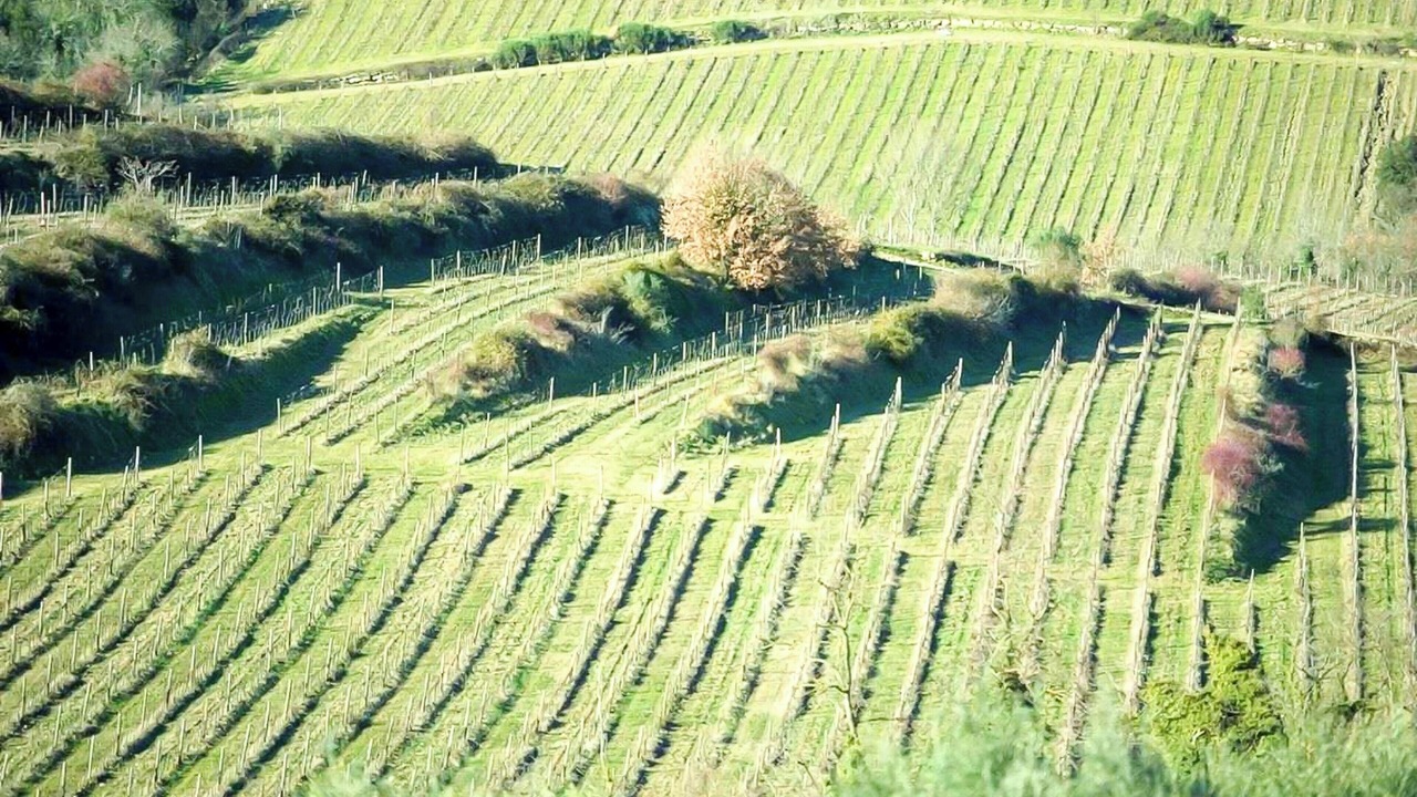 Photo of Others in Lucolena