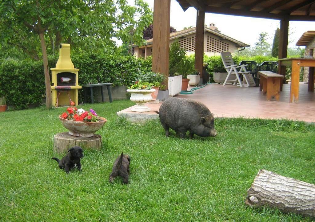 Photo of Outdoor in Pontedera