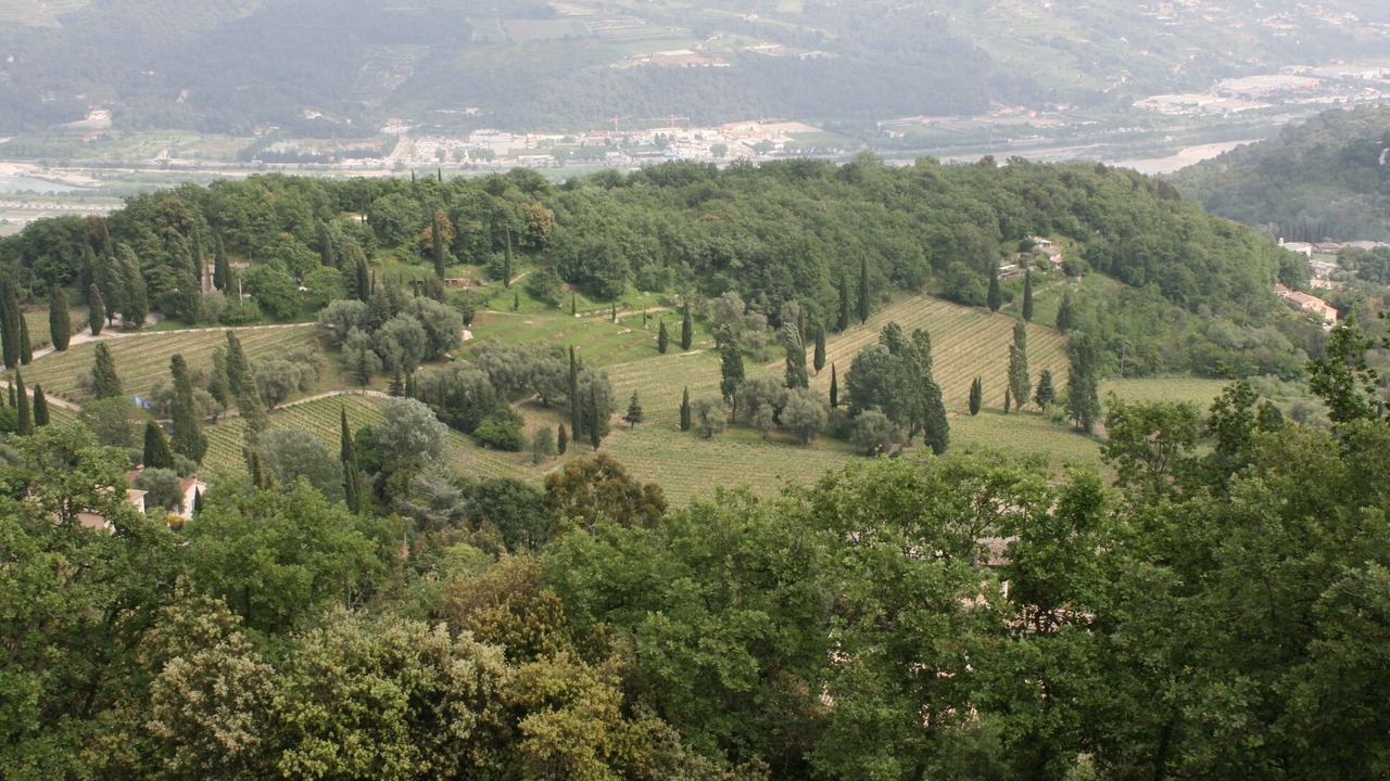 Photo of Outdoor in Saint-Jeannet