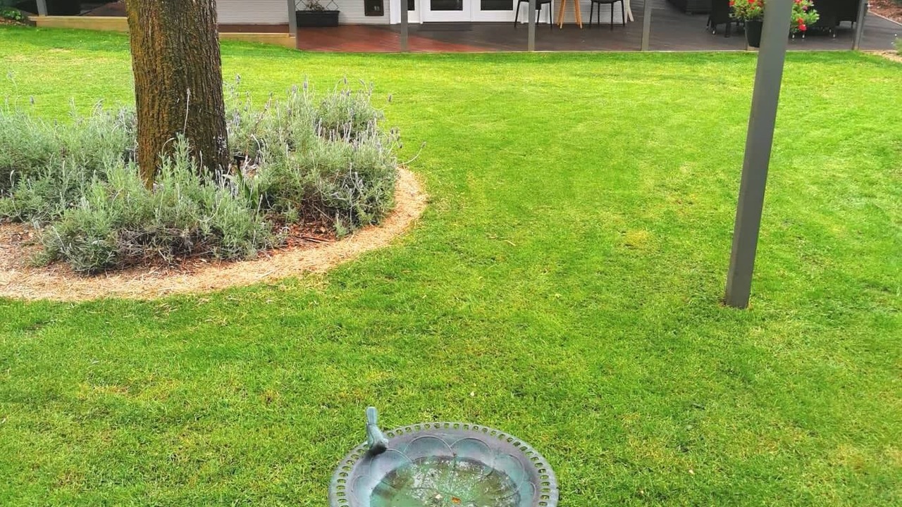 Photo of Outdoor in Katoomba