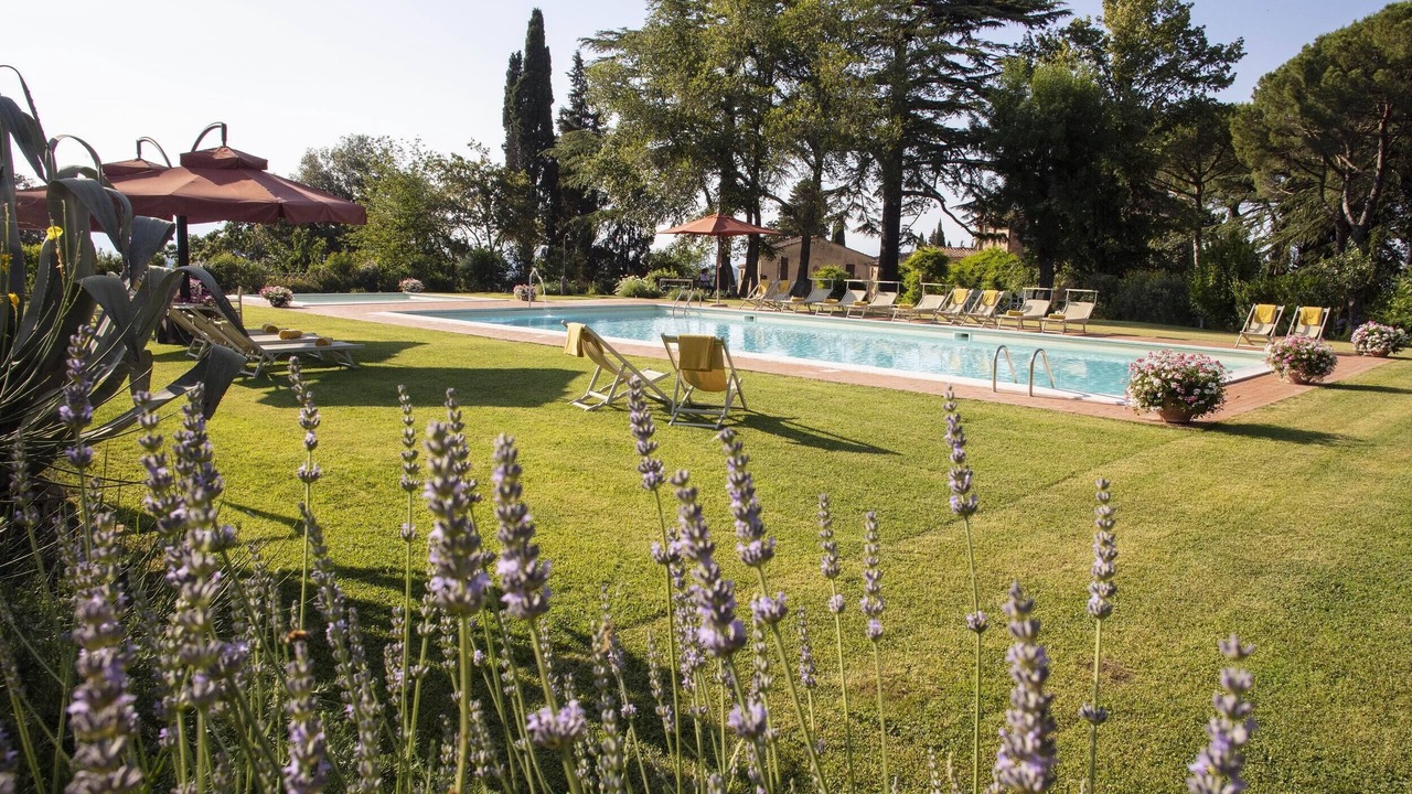 Photo of Outdoor in Palaia