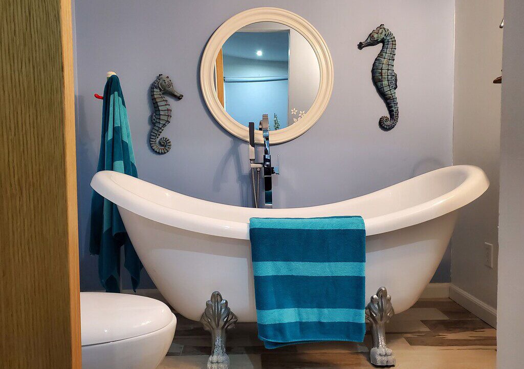 Photo of Bathroom in Lengueta Arenosa
