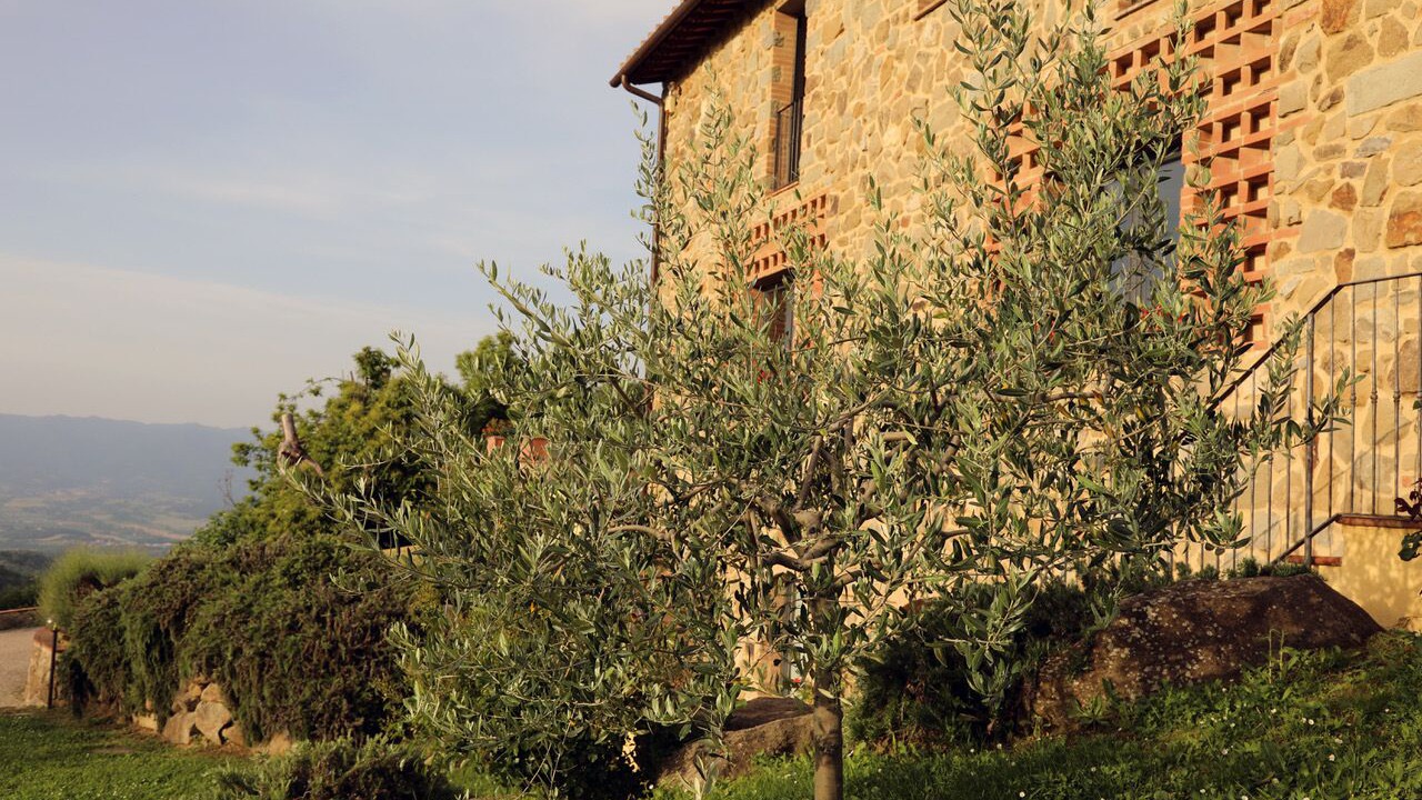 Photo of Outdoor in Borgo San Lorenzo