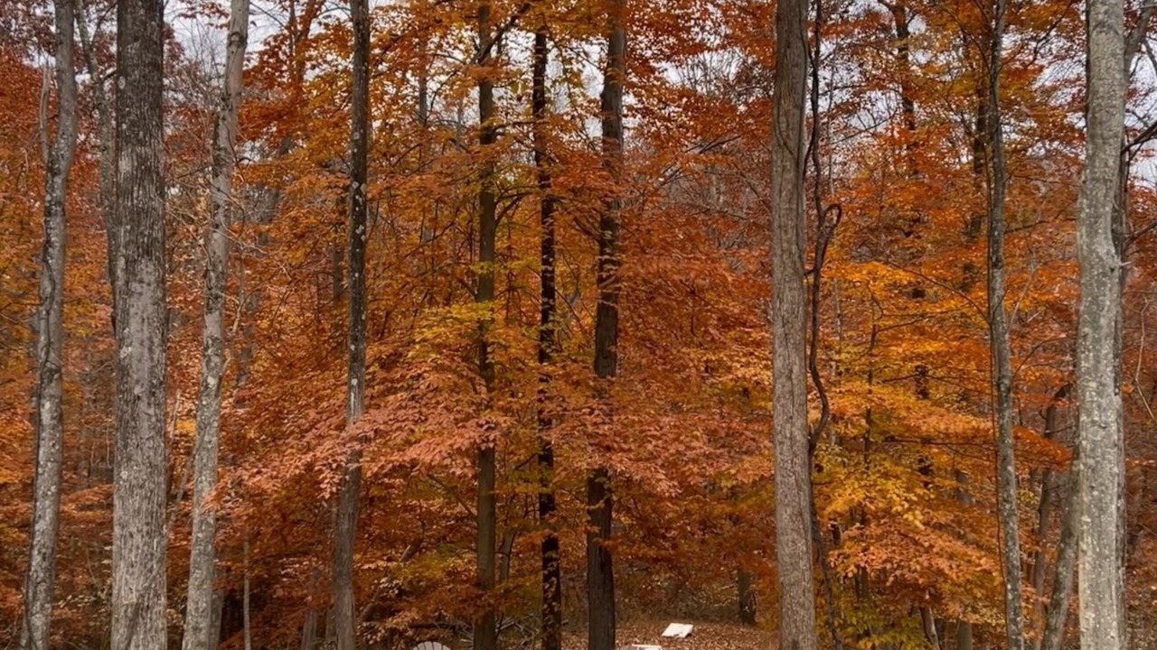 Photo of Outdoor in Logan