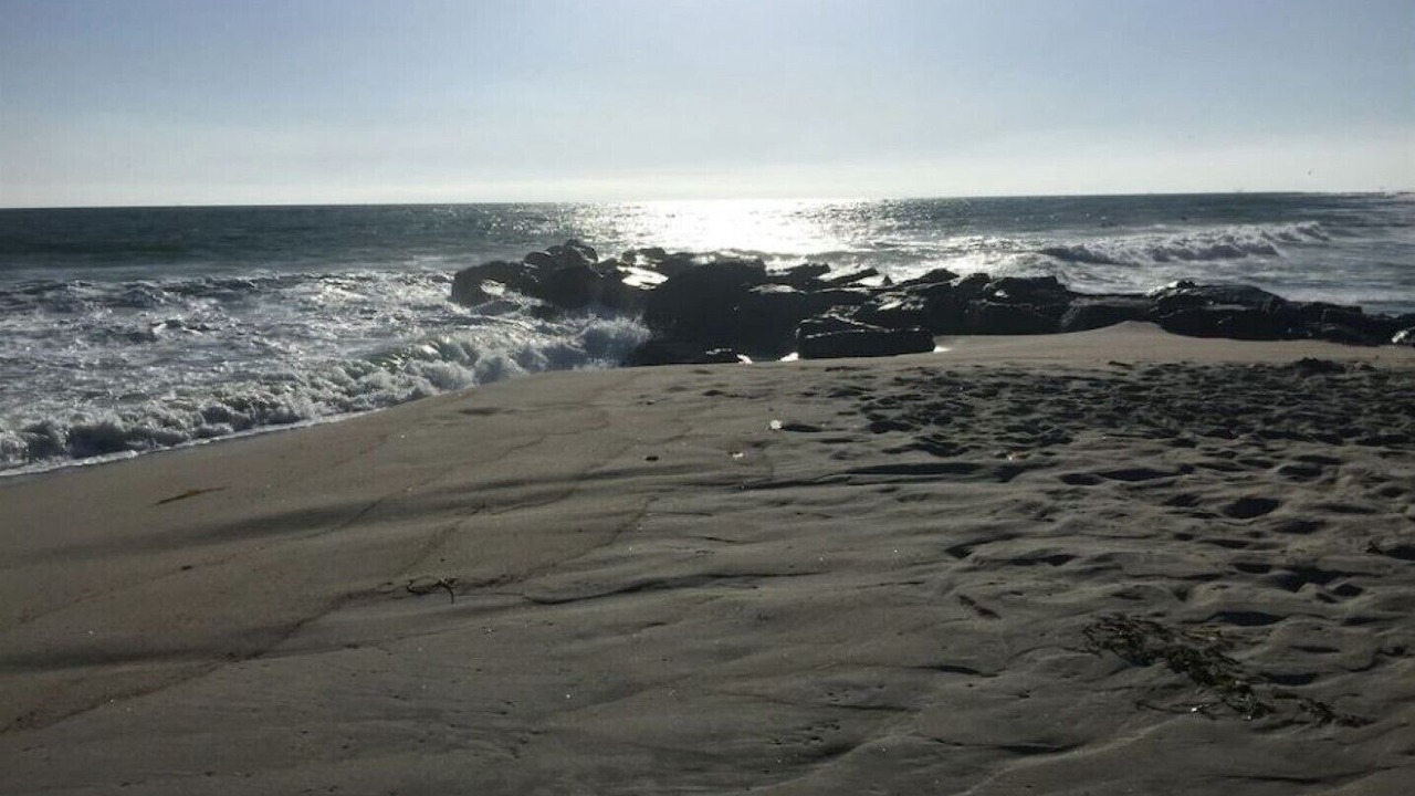 Photo of Others in West Newport