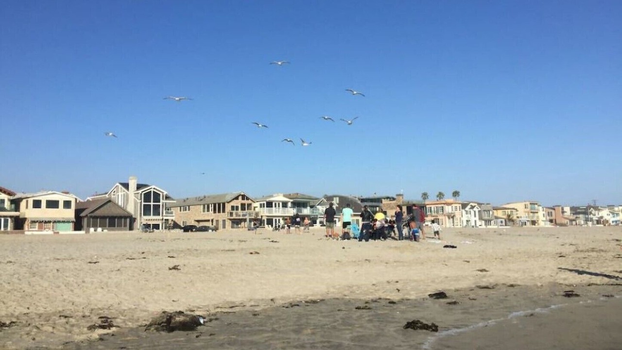 Photo of Others in West Newport