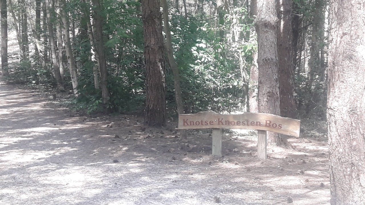 Photo of Outdoor in Dirkshorn