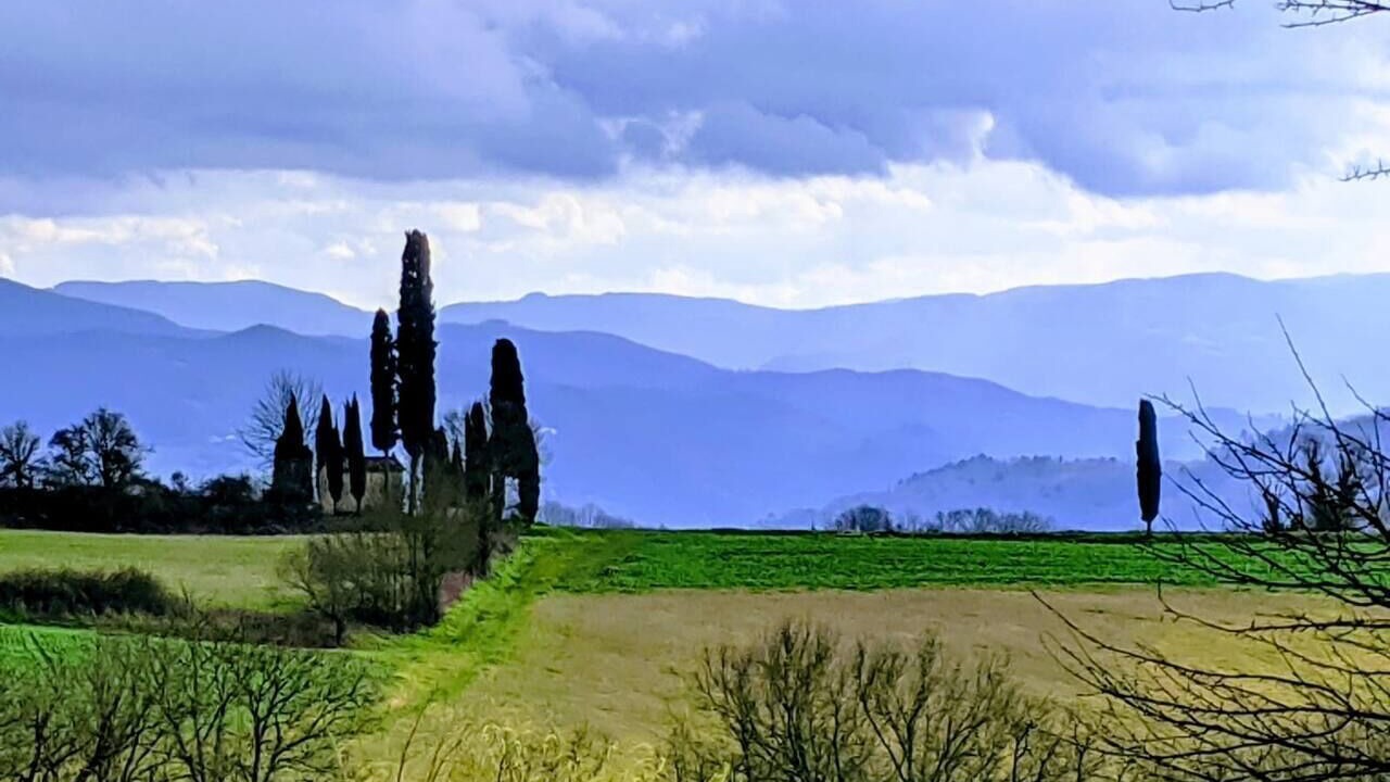 Photo of Others in Vicchio