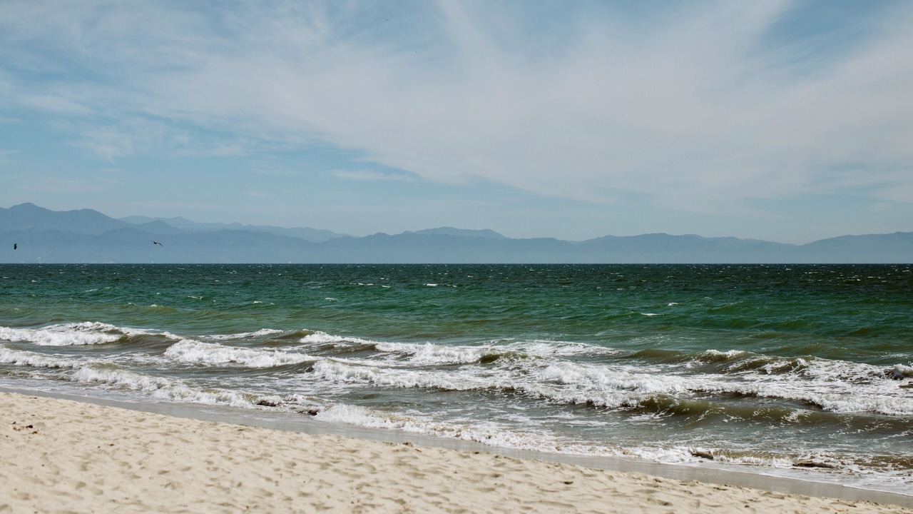 Photo of Others in Bucerias