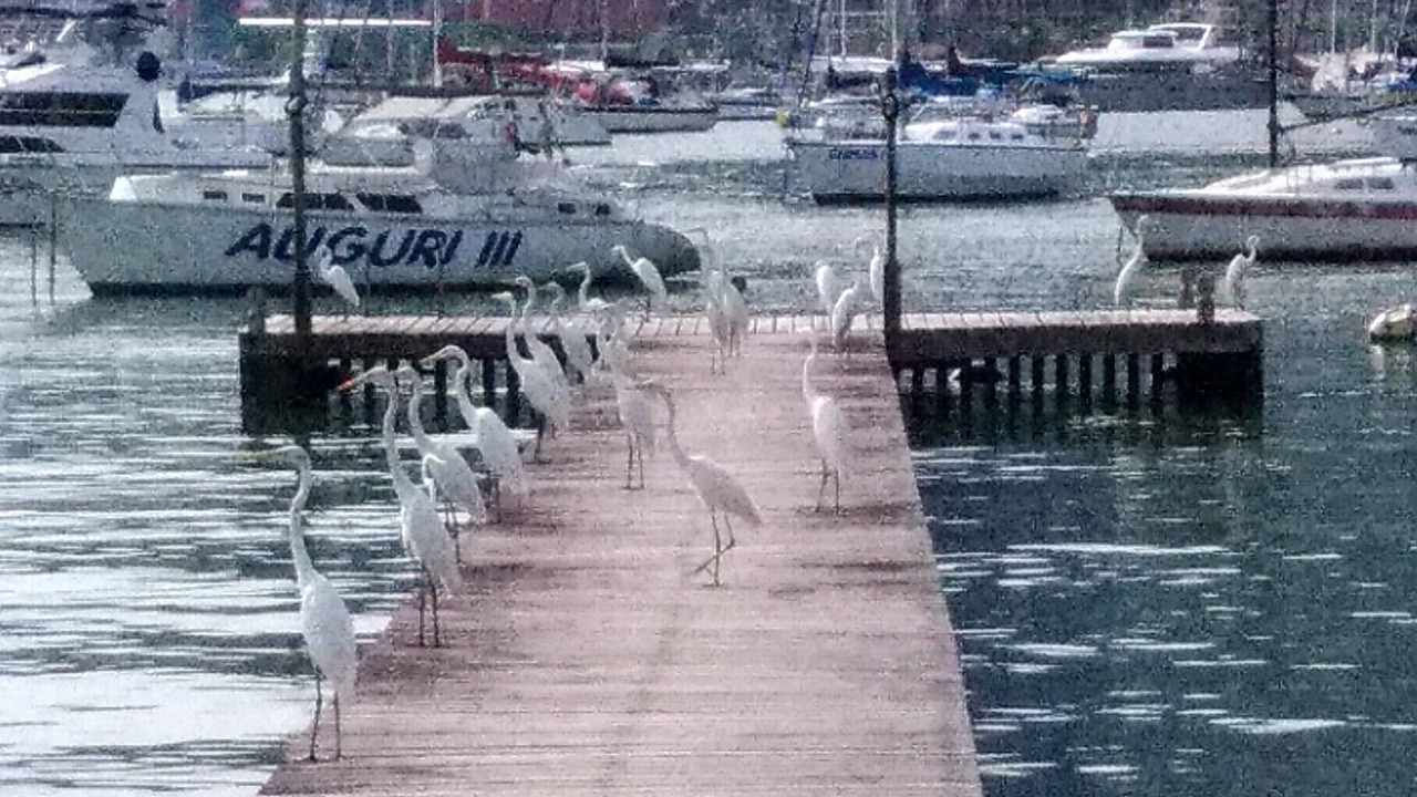Photo of Others in Praia do Jardim