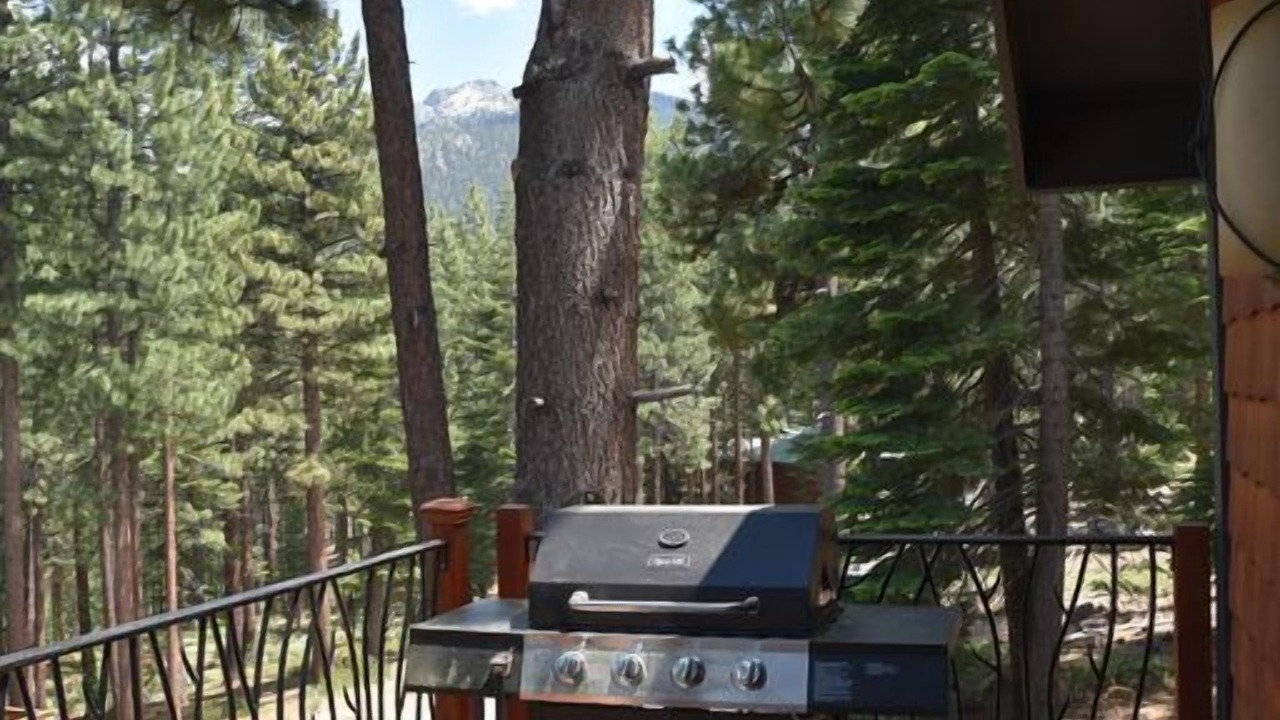 Photo of Outdoor in Montgomery Estates