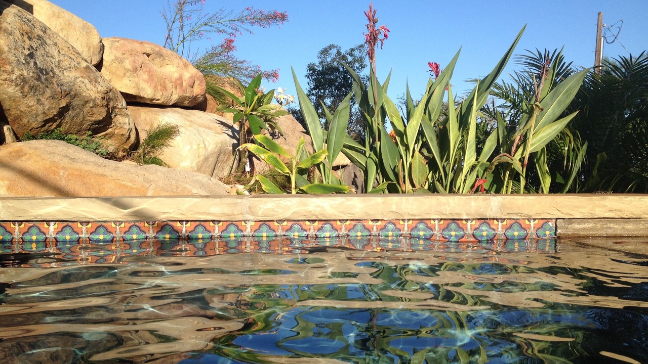 Photo of Outdoor in Riviera