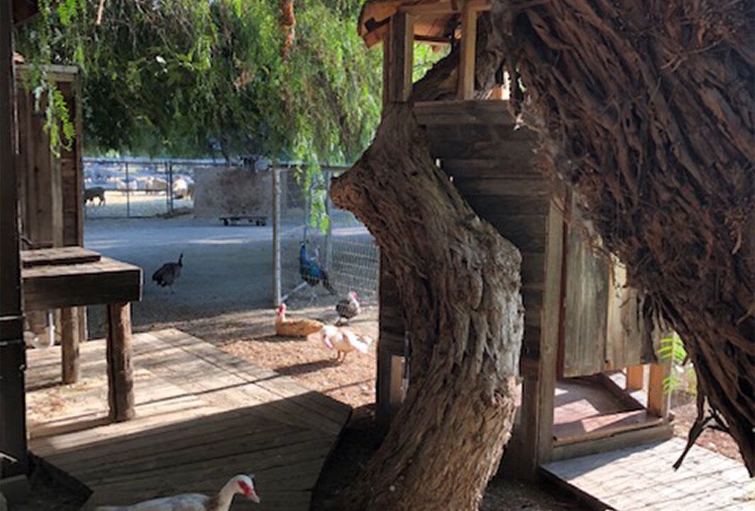 Photo of Outdoor in Temecula