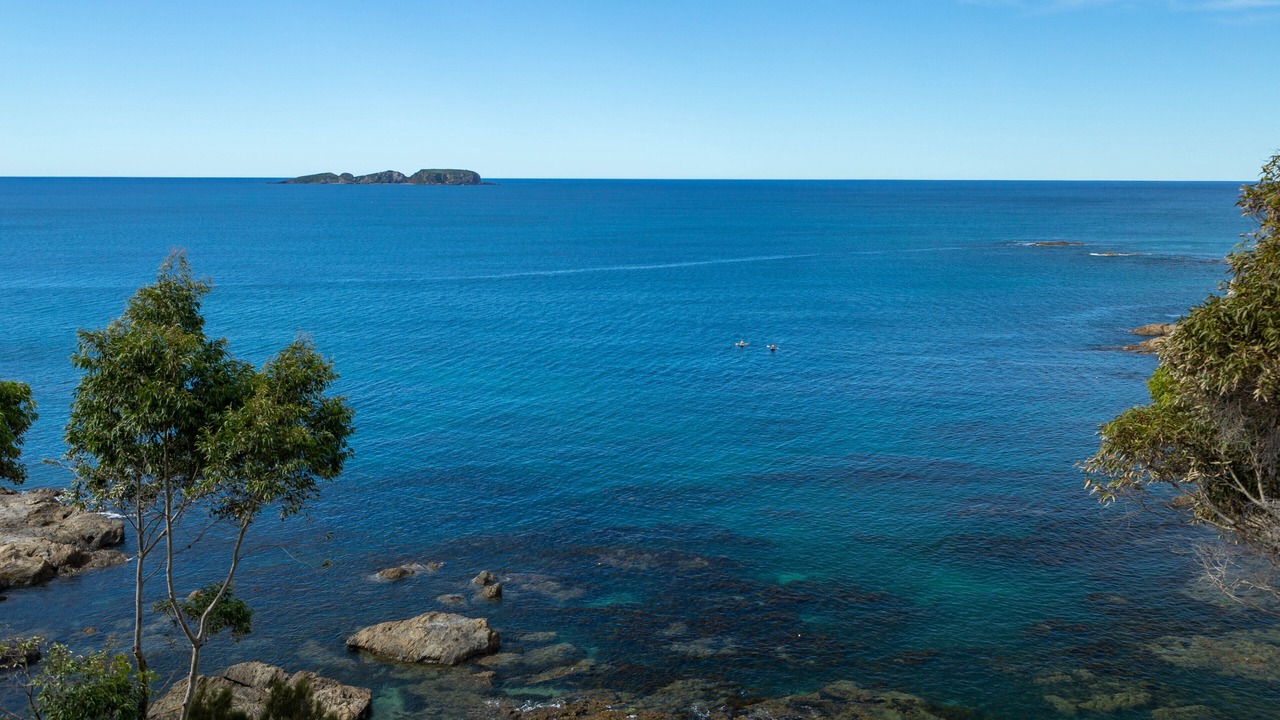 Photo of Others in Denhams Beach